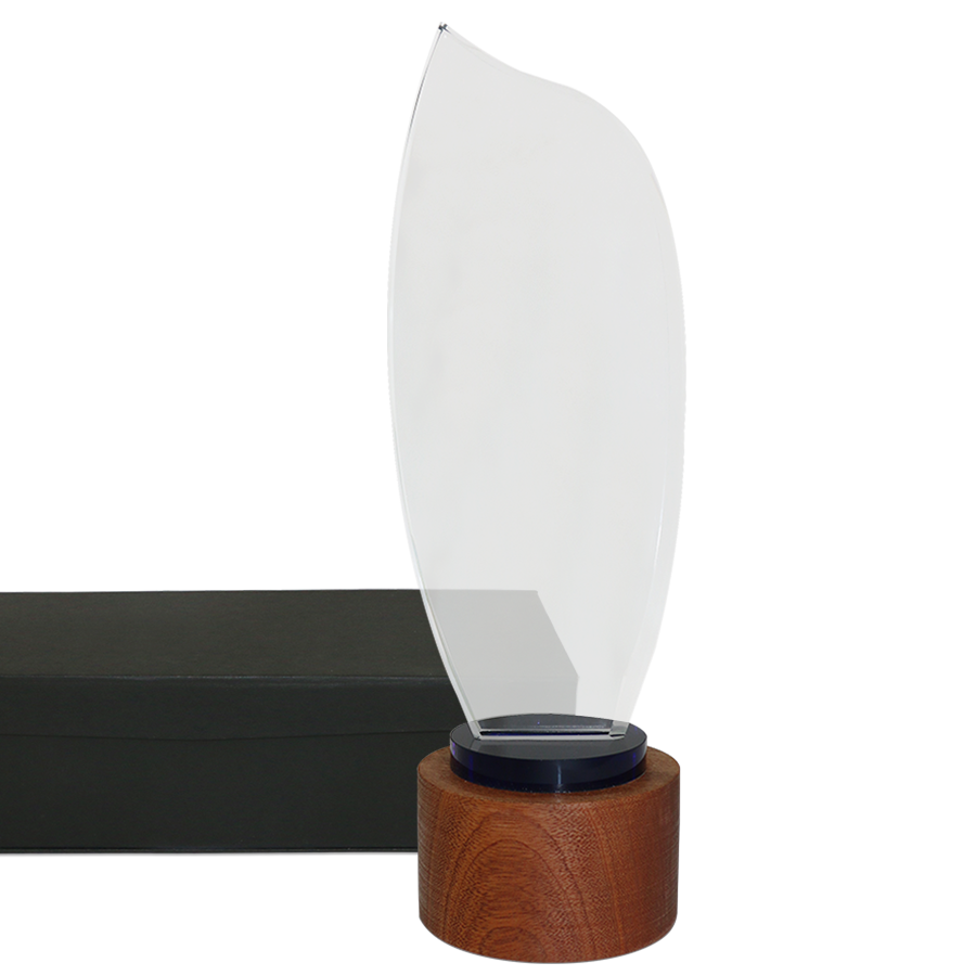 trophée en verre et bois forme flamme