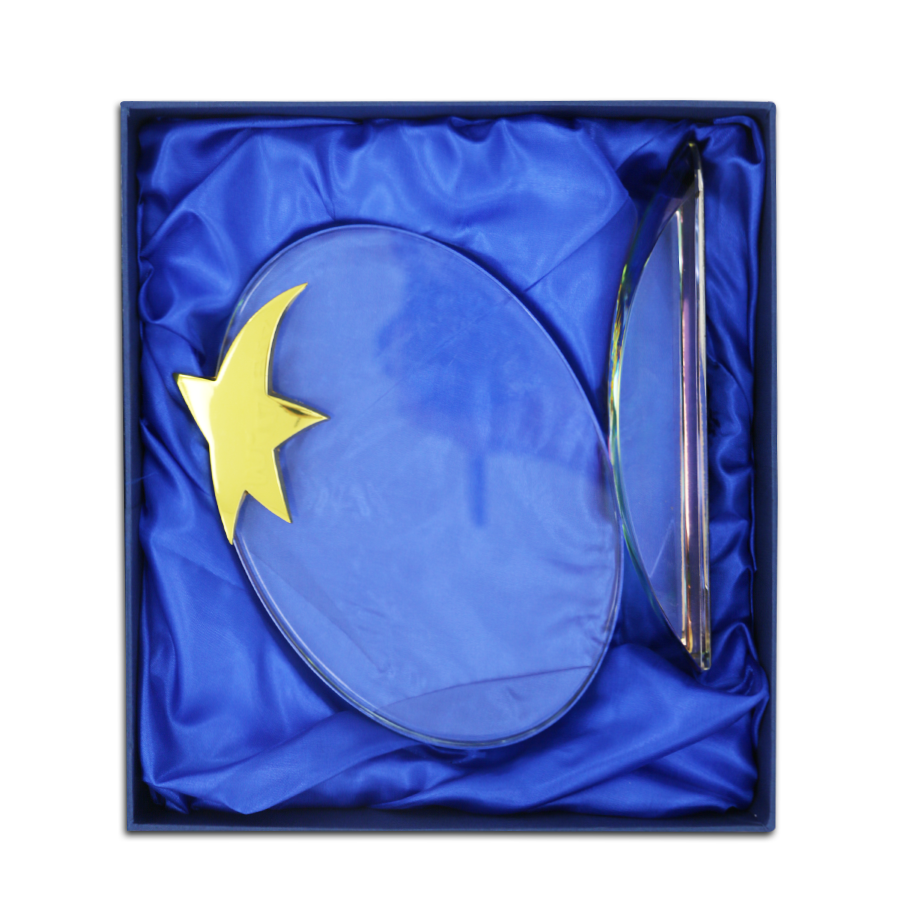 trophée ovale en verre avec forme etoile en métal