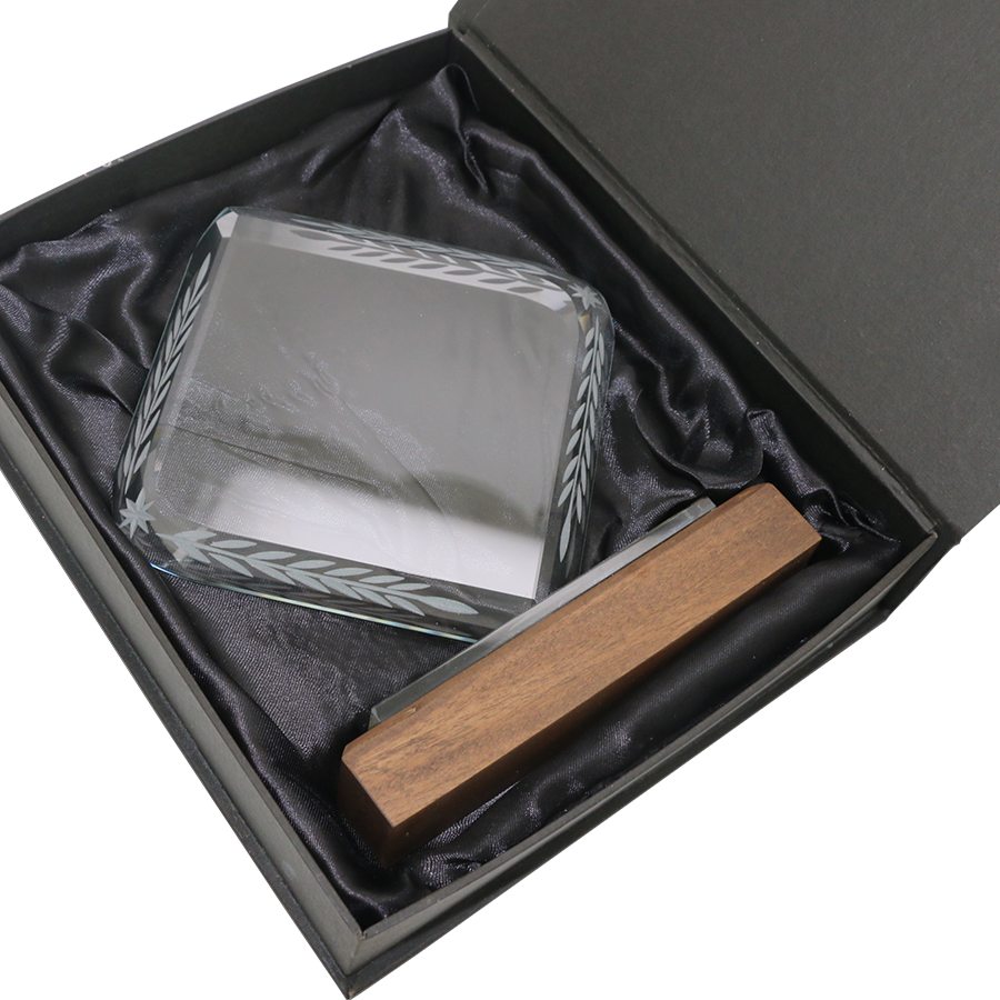 trophée en verre et bois forme rhombique