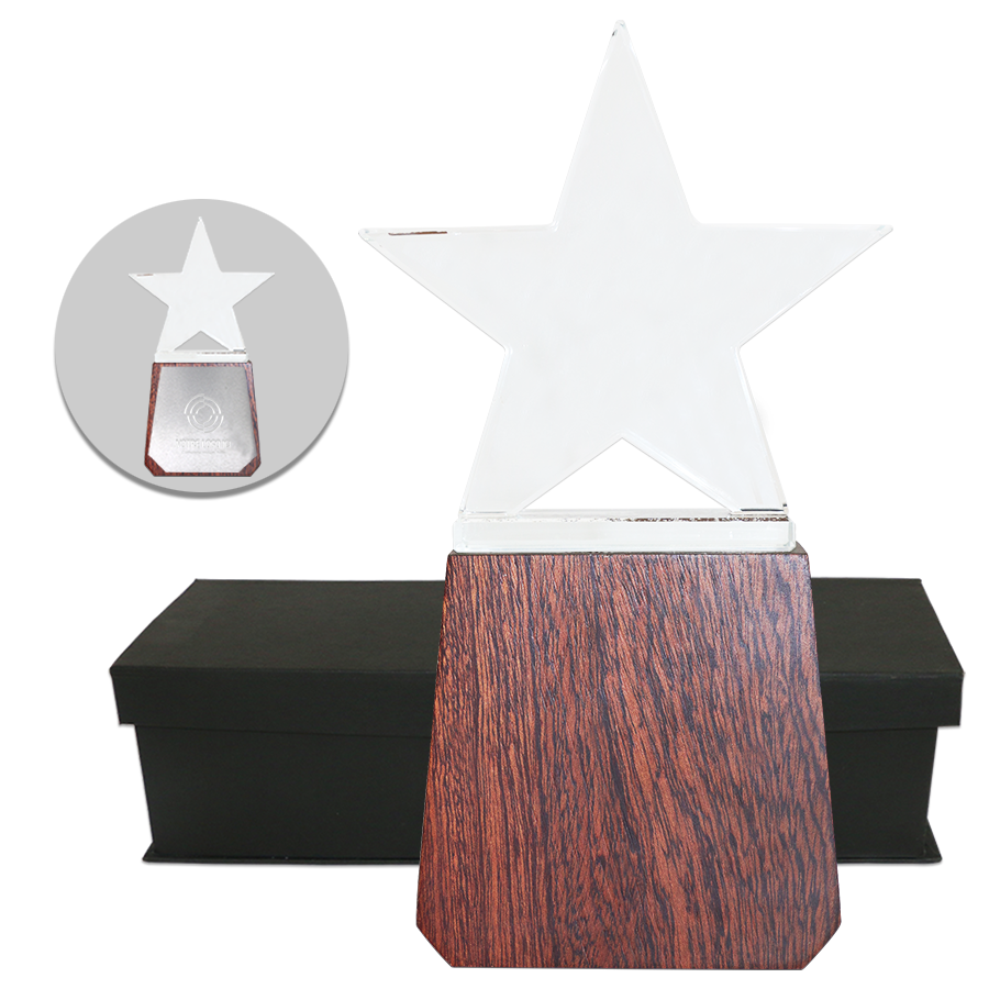 trophée etoile en bois et verre